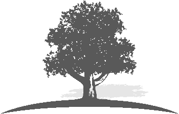 Tree Trunk